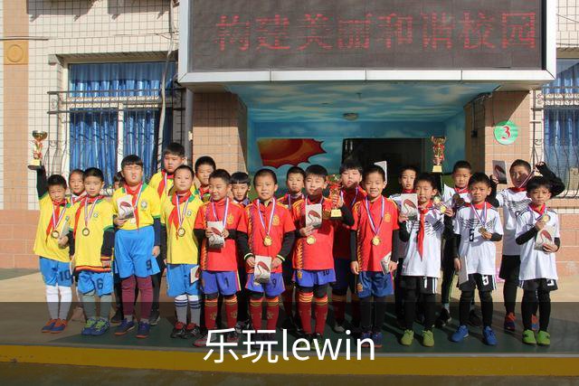 乐玩lewin企业介绍展示图